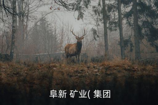 阜新礦業(yè)集團破產