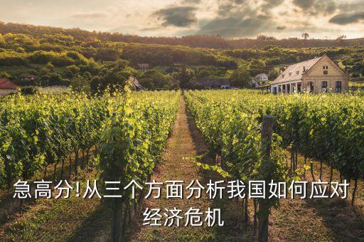 中國目前的經(jīng)濟危機