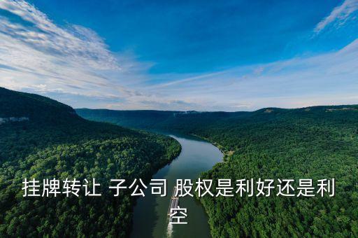 子公司股權(quán)有用嗎,購(gòu)買(mǎi)子公司股權(quán)發(fā)生的手續(xù)費(fèi)