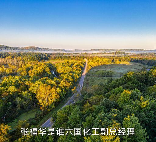 張福華是誰六國(guó)化工副總經(jīng)理