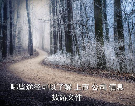 哪些途徑可以了解 上市 公司 信息披露文件
