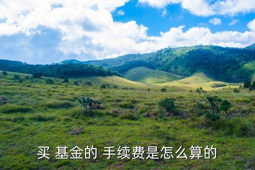 買(mǎi) 基金的 手續(xù)費(fèi)是怎么算的