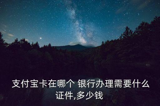  支付寶卡在哪個 銀行辦理需要什么證件,多少錢