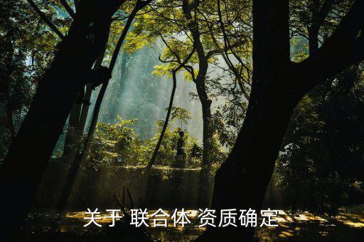 株洲聯合城市建設有限責任公司注冊資質