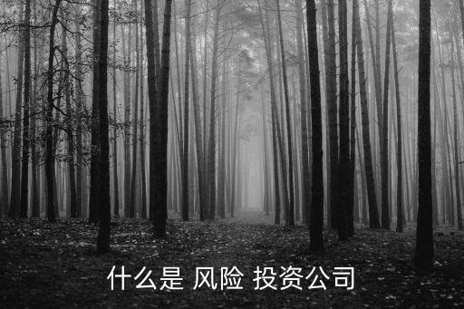 什么是 風(fēng)險 投資公司