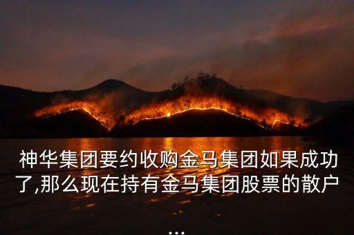 中國神華2014年報(bào)