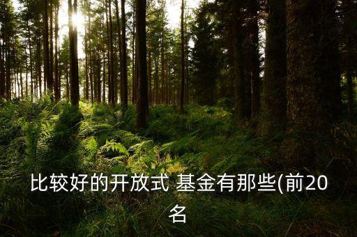 比較好的開放式 基金有那些(前20名