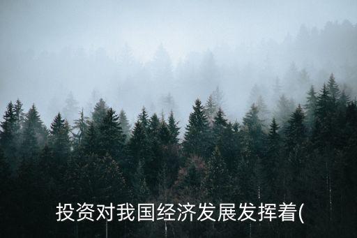  投資對我國經(jīng)濟發(fā)展發(fā)揮著(