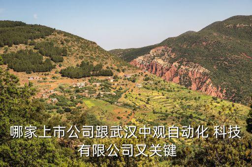 哪家上市公司跟武漢中觀自動化 科技 有限公司又關(guān)鍵