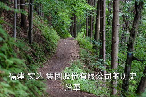 福州實(shí)達(dá)集團(tuán)董事長,福州林氏集團(tuán)董事長女兒