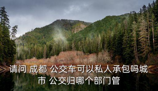 成都公交集團(tuán)管理層,北京公交集團(tuán)管理層工資高嗎