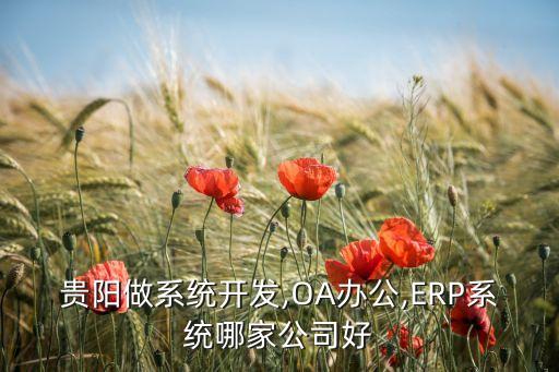 貴陽(yáng)做系統(tǒng)開發(fā),OA辦公,ERP系統(tǒng)哪家公司好