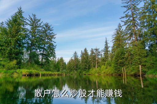 散戶怎么炒股才能賺錢(qián)