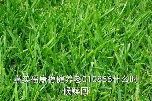 嘉實(shí)?？捣€(wěn)健養(yǎng)老010866什么時(shí)候贖回