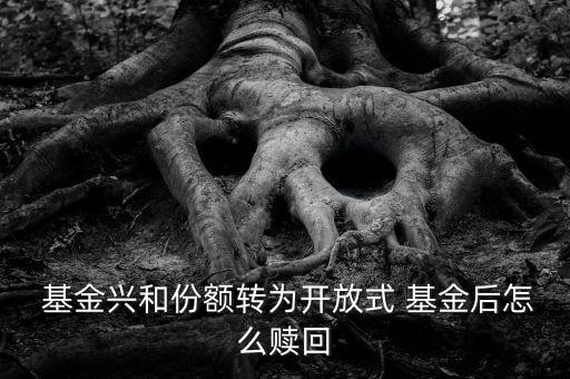  基金興和份額轉(zhuǎn)為開(kāi)放式 基金后怎么贖回