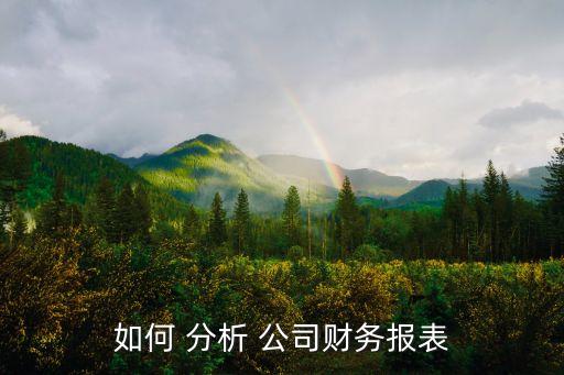 如何 分析 公司財務(wù)報表