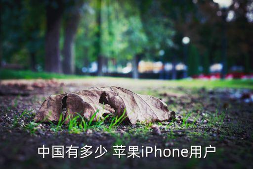 中國(guó)有多少 蘋(píng)果iPhone用戶