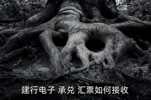 承兌匯票客戶(hù)銀行客戶(hù)經(jīng)理,銀行客戶(hù)經(jīng)理能看到客戶(hù)哪些信息