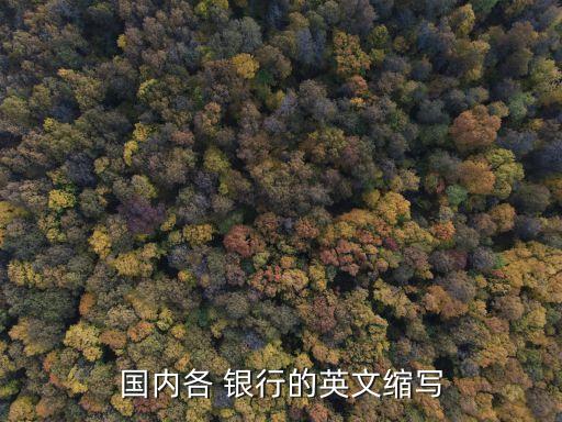 中信銀行和漢口銀行,漢口中信銀行網點分布