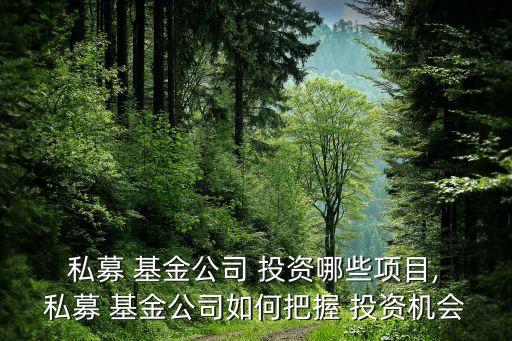  私募 基金公司 投資哪些項目, 私募 基金公司如何把握 投資機會