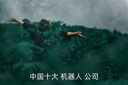 中國十大 機器人 公司