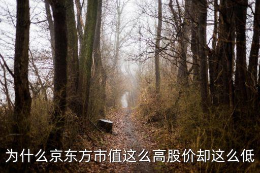 為什么京東方市值這么高股價(jià)卻這么低