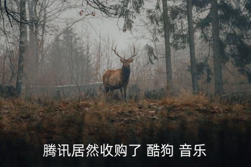 騰訊居然收購(gòu)了 酷狗 音樂(lè)