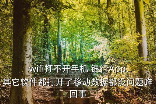  wifi打不開手機(jī) 銀行App,其它軟件都打開了移動數(shù)據(jù)都沒問題咋回事