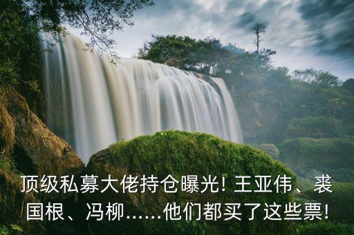 頂級私募大佬持倉曝光! 王亞偉、裘國根、馮柳……他們都買了這些票!