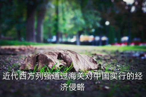 近代西方列強(qiáng)通過海關(guān)對中國實(shí)行的經(jīng)濟(jì)侵略