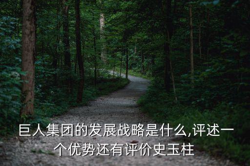  巨人集團(tuán)的發(fā)展戰(zhàn)略是什么,評(píng)述一個(gè)優(yōu)勢(shì)還有評(píng)價(jià)史玉柱
