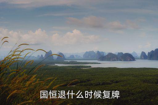  國恒退什么時候復牌