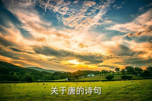 關于唐的詩句
