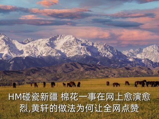 HM碰瓷新疆 棉花一事在網(wǎng)上愈演愈烈,黃軒的做法為何讓全網(wǎng)點贊