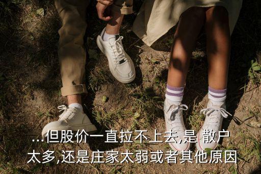 ...但股價(jià)一直拉不上去,是 散戶 太多,還是莊家太弱或者其他原因