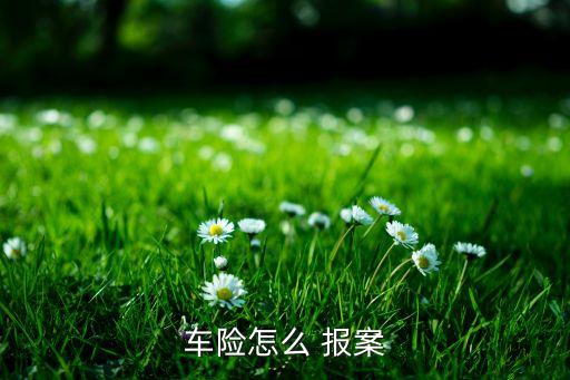 車(chē)險(xiǎn)怎么 報(bào)案