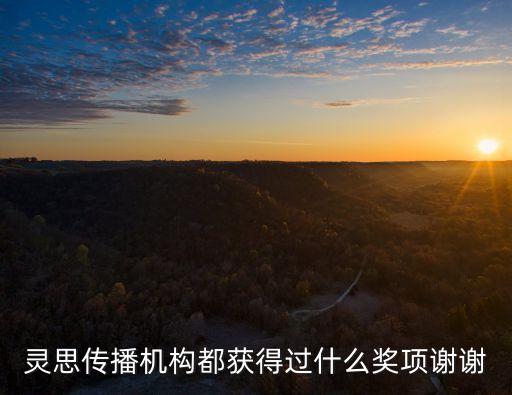 靈思傳播機構(gòu)都獲得過什么獎項謝謝
