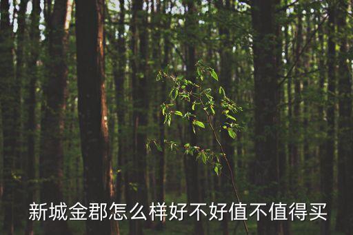 蘇州新城創(chuàng)恒房地產有限公司