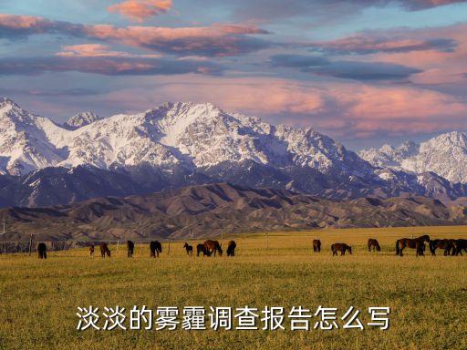 淡淡的霧霾調(diào)查報告怎么寫