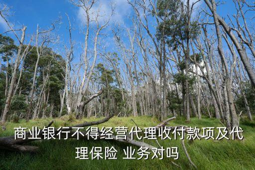  商業(yè)銀行不得經(jīng)營代理收付款項(xiàng)及代理保險(xiǎn) 業(yè)務(wù)對嗎