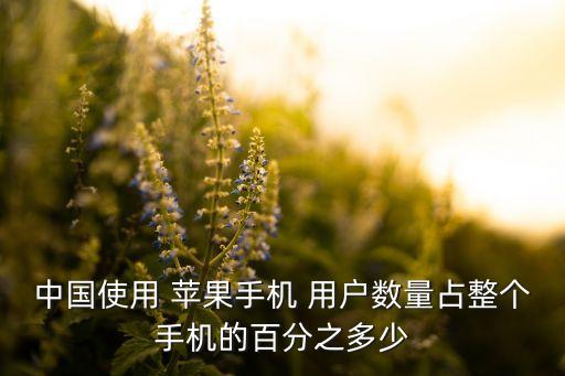 中國(guó)蘋(píng)果用戶數(shù),中國(guó)互聯(lián)網(wǎng)用戶數(shù)