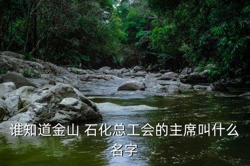 誰(shuí)知道金山 石化總工會(huì)的主席叫什么名字