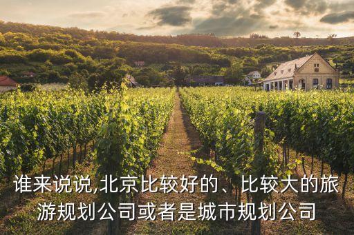 誰(shuí)來(lái)說(shuō)說(shuō),北京比較好的、比較大的旅游規(guī)劃公司或者是城市規(guī)劃公司