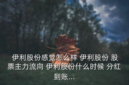  伊利股份感覺怎么樣 伊利股份 股票主力流向 伊利股份什么時(shí)候 分紅到賬...