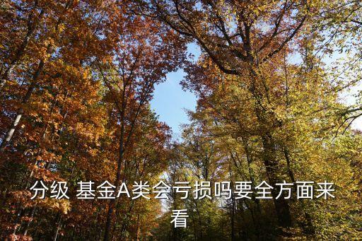 分級(jí)基金a類(lèi)份額,下列關(guān)于分級(jí)基金份額的表述錯(cuò)誤的是
