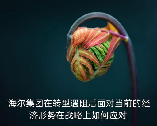  海爾集團(tuán)在轉(zhuǎn)型遇阻后面對(duì)當(dāng)前的經(jīng)濟(jì)形勢(shì)在戰(zhàn)略上如何應(yīng)對(duì)