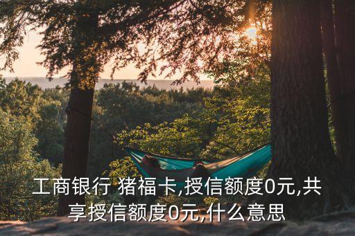 工商銀行 豬福卡,授信額度0元,共享授信額度0元,什么意思