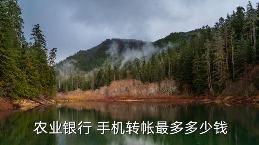  農(nóng)業(yè)銀行 手機(jī)轉(zhuǎn)帳最多多少錢(qián)