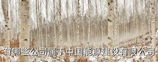 有哪些公司屬于中國能源建設(shè)有限公司