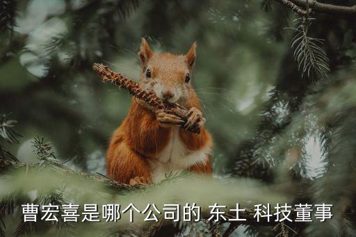 曹宏喜是哪個(gè)公司的 東土 科技董事